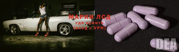 СК Ельня