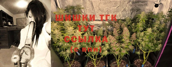 СК Ельня