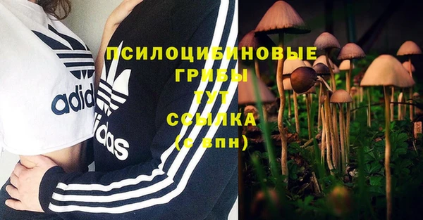 mdpv Елизово
