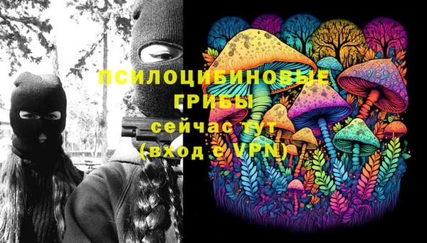 марки nbome Заводоуковск