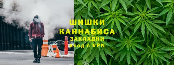 СК Ельня