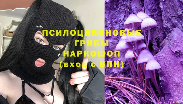 mdpv Елизово
