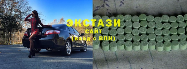СК Ельня