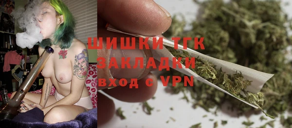 СК Ельня