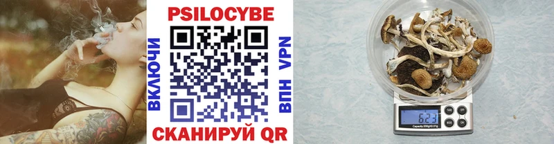 Купить где  Щёкино  Псилоцибиновые грибы прущие грибы 